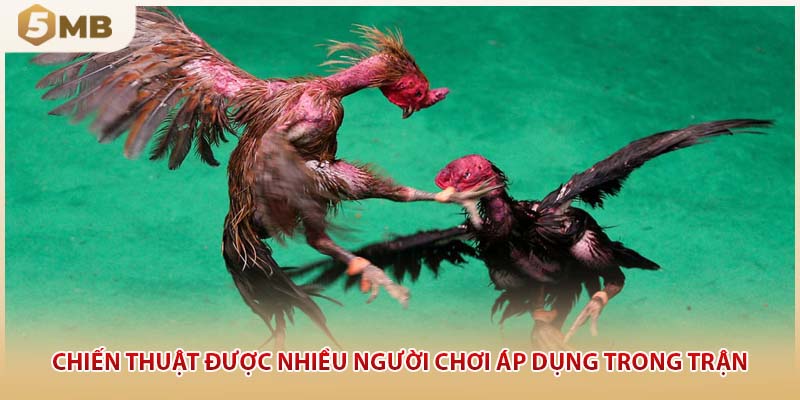 Chiến thuật được nhiều người chơi áp dụng trong trận