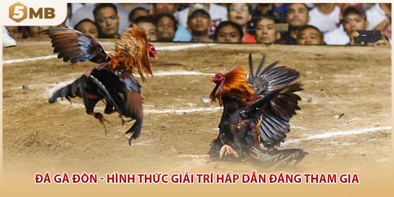 Đá Gà Đòn - Hình Thức Giải Trí Hấp Dẫn Đáng Tham Gia