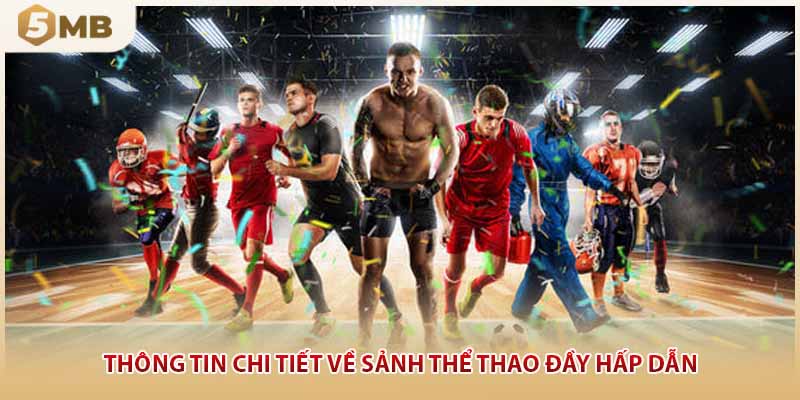 Thông tin chi tiết về sảnh thể thao đầy hấp dẫn
