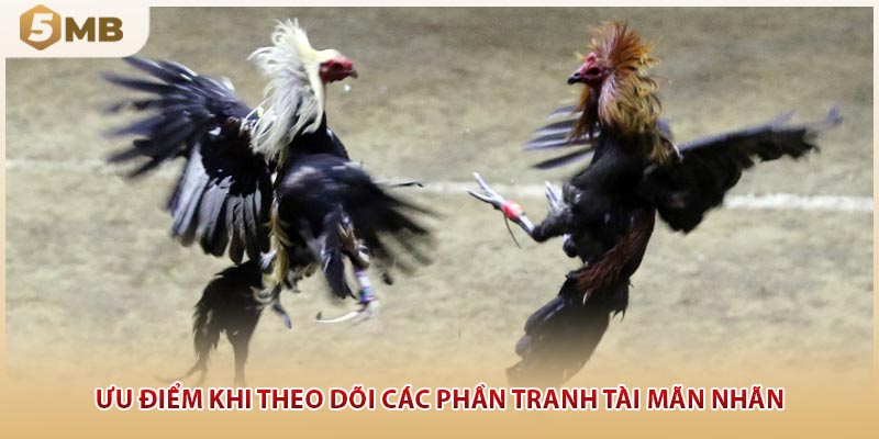 Ưu điểm khi theo dõi các phần tranh tài mãn nhãn